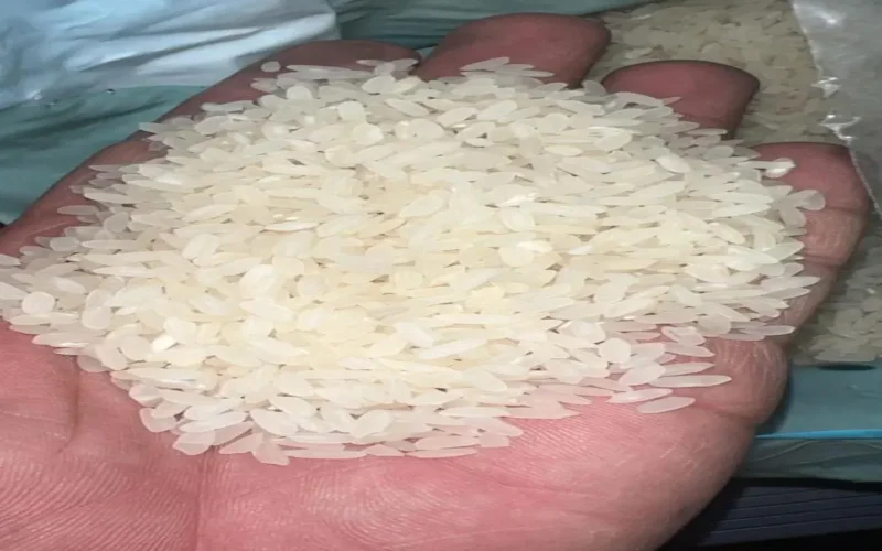 حملة رقابية مكثفة.. غذاء الأردن تفتش معامل الأرز والحبوب استعداداً لرمضان